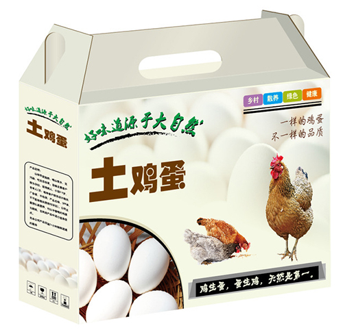 PP电子(中国)官方网站